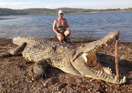 Trophy crocodile