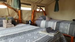 Bushmanland Elephant Tented Camp Beds