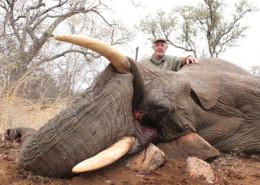 Elephant Trophy