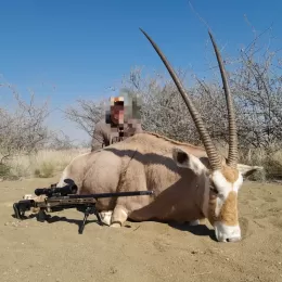 Golden Oryx