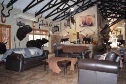 Free-Ranging Hippo Lodge interior