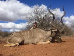 Discouted Bow Hunt Kudu