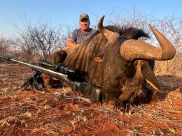 blue wildebeest trophy