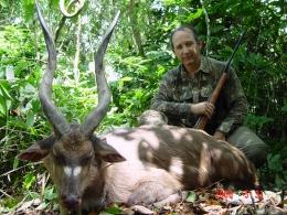 Cameroon Forest Sitatunga Trophy