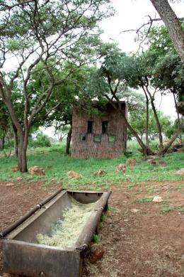 Exterior of Bow Blind
