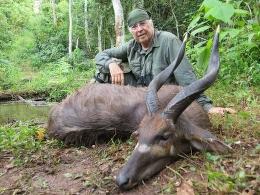 Forest Sitatunga Trophy in Cameroon