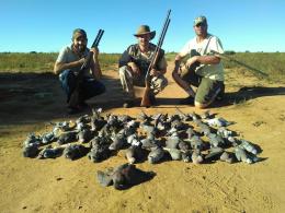 TRophy birds from wing shoot in South Africa
