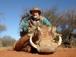 Trophy Warthog taken with a bow