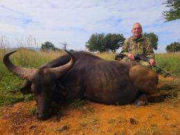Cape Buffalo Hunts