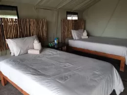 hippo lodge bedroom