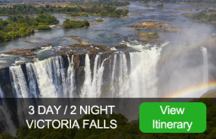 Victoria Falls