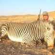Burchell's Zebra