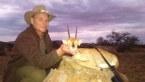 Trophy Steenbok in Namibia