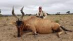 Father and Son Trophy Red Hartebeest