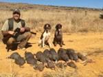 African Wingshooting Hunts African Wingshooting Hunts