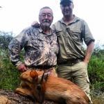 Trophy Red Duiker