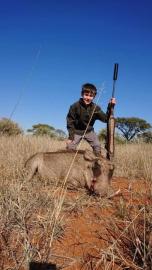 Free State Warthog