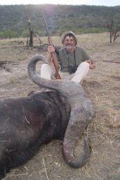 45 inch Free Range Cape Buffalo trophy