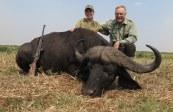 Celebrity with a Zambezi Delta Cape buffalo bull