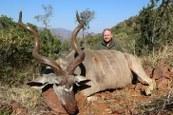 A great Liimpopo trophy kudu