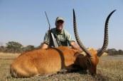 Big Kafue lechwe