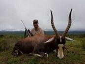 Eastern Cape Bleesbuck