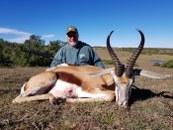 Big Eastern Cape Springbok