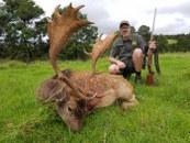 Trophy Eastern Cape Fallow Deer