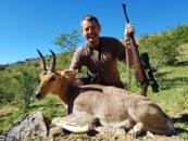 Eastern Cape Mountain Reedbuck