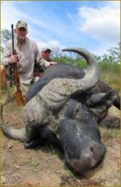 Cape Buffalo Hunt in South Africa 2