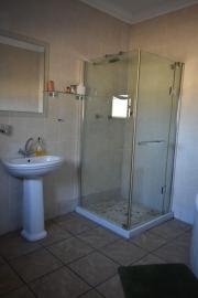 Lion Hunt in the Kalahari Desert 11