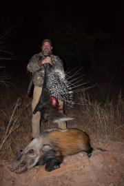 African Porkupine and bushpig