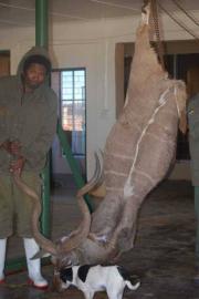 Kalahari Desert Plains Game Hunt 6