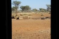 View from Ground Blind in Namibia
