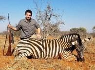 Trophy burchell's zebra