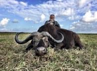 Hunge Cape buffalo trophy