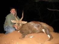 A nice Limpopo bushbuck trophy