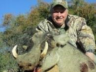 Big Namibia Warthog Trophy