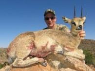 Namibia Hunting Safari Klipspringer