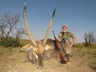 Big Waterbuck