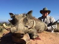 Trophy Warthog