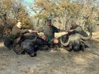Two happy hunters with Cape buffalos in Zambia