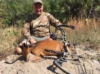 Nice Natal Forest Duiker