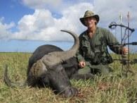 Wide Spread Cape buffalo trophy