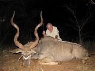 A great Limpopo trophy kudu