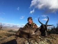 Discounted Trophy Black Springbuck
