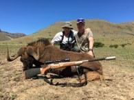 Black Wildebeest Cull Photo