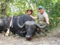 Zambia Cape buffalo trophy