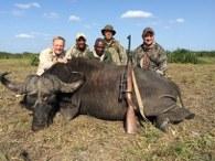 A sucessful result from a Zambezi Delta Cape Buffalo bull hunt