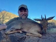 Large Damara dik-dik trophy